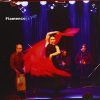 DVD Suroma – Suena flamenco