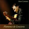 Baile Flamenco Manuel Salado – El baile flamenco vol. 7. Soleá por bulerías y martinete (CD + DVD)
