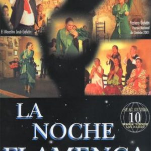 Baile Flamenco Solo Compás – La noche flamenca